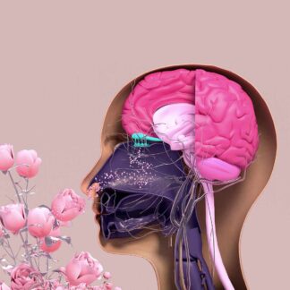 Ateneo dell'Olfatto Masterclass "Tra la mente e il naso"