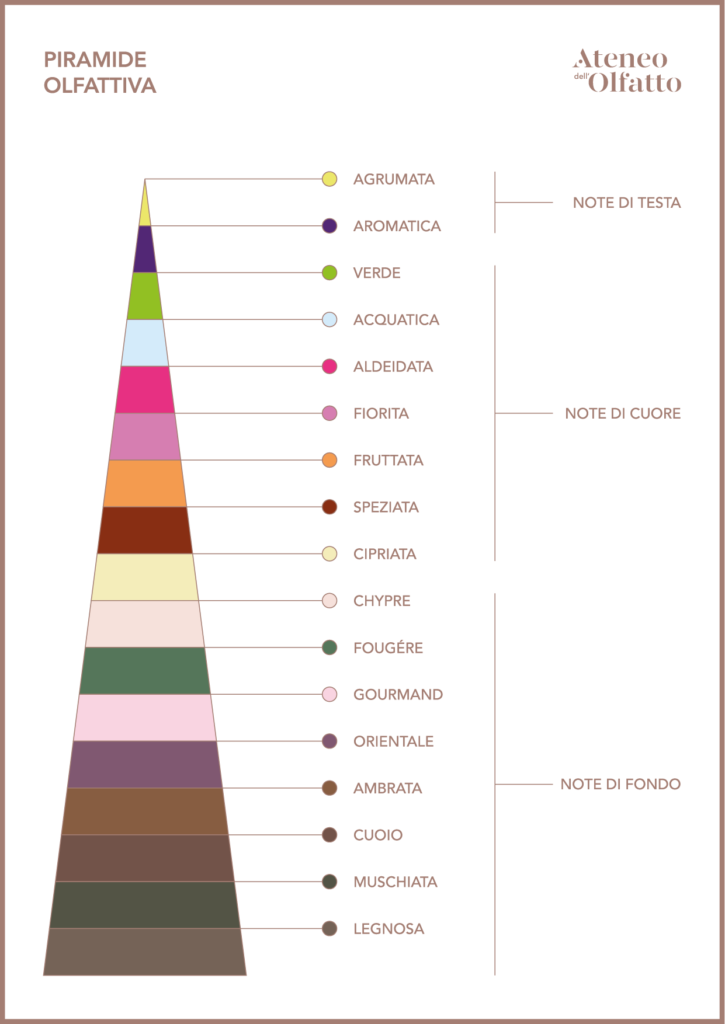 Piramide Olfattiva, famiglie olfattive