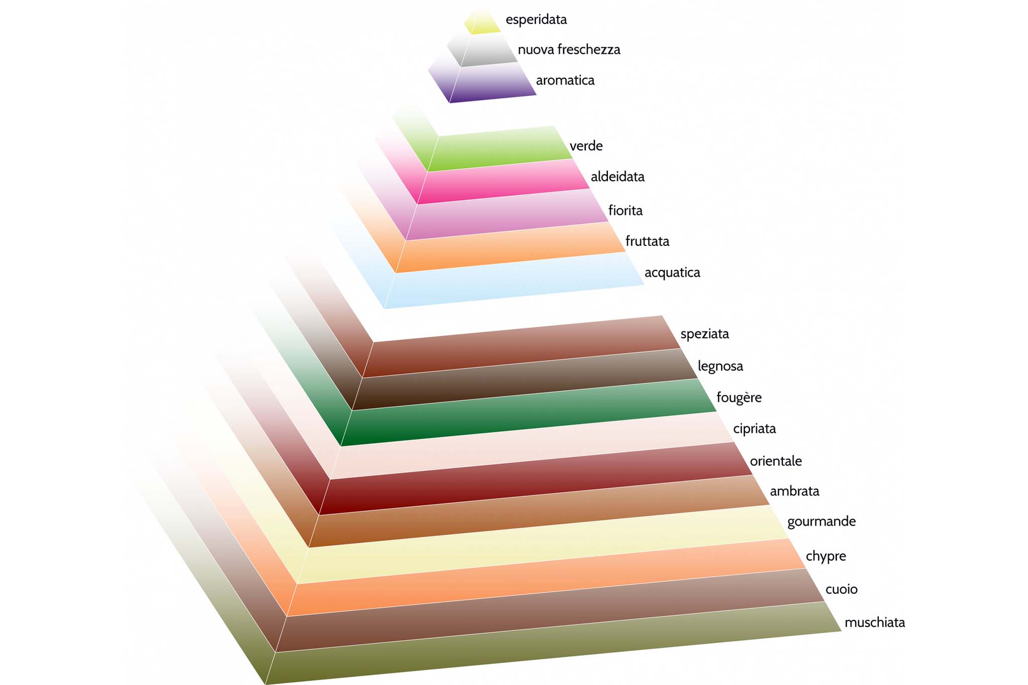 La Piramide olfattiva, cos’è e come si legge